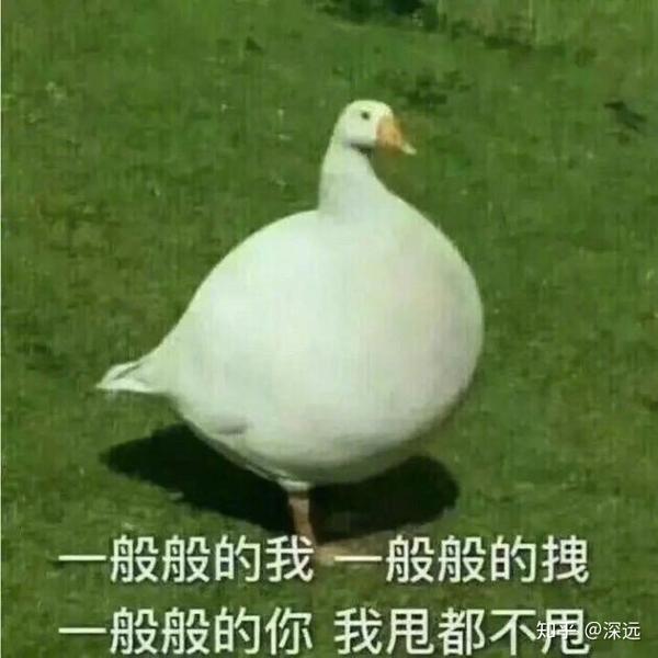 表情包多是一种什么样的体验?