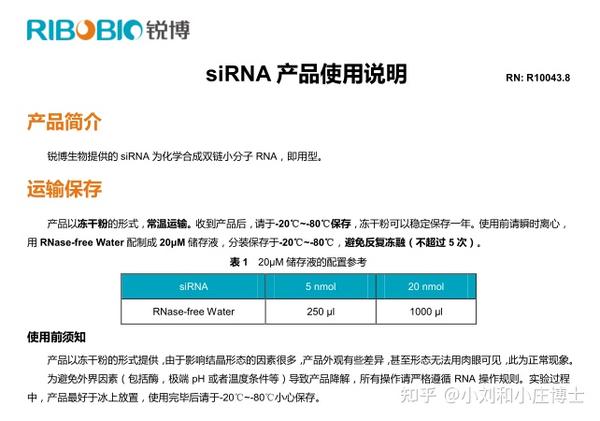 在无血清培养基(opi-memtm)中制备dna- lipofectaminetm 3000复合物