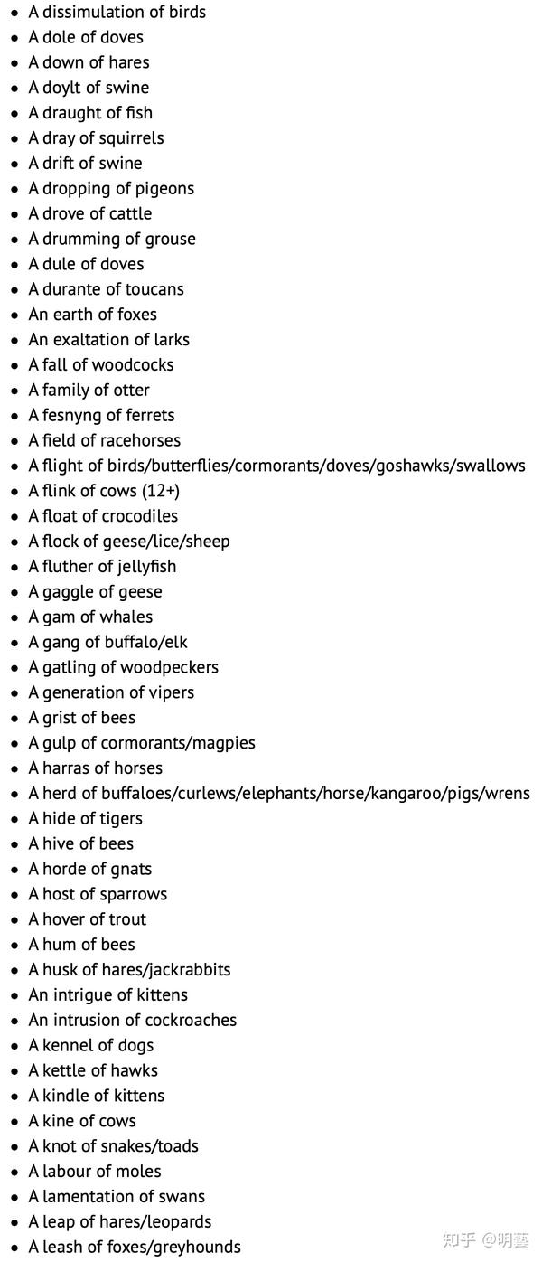 collective animal nouns