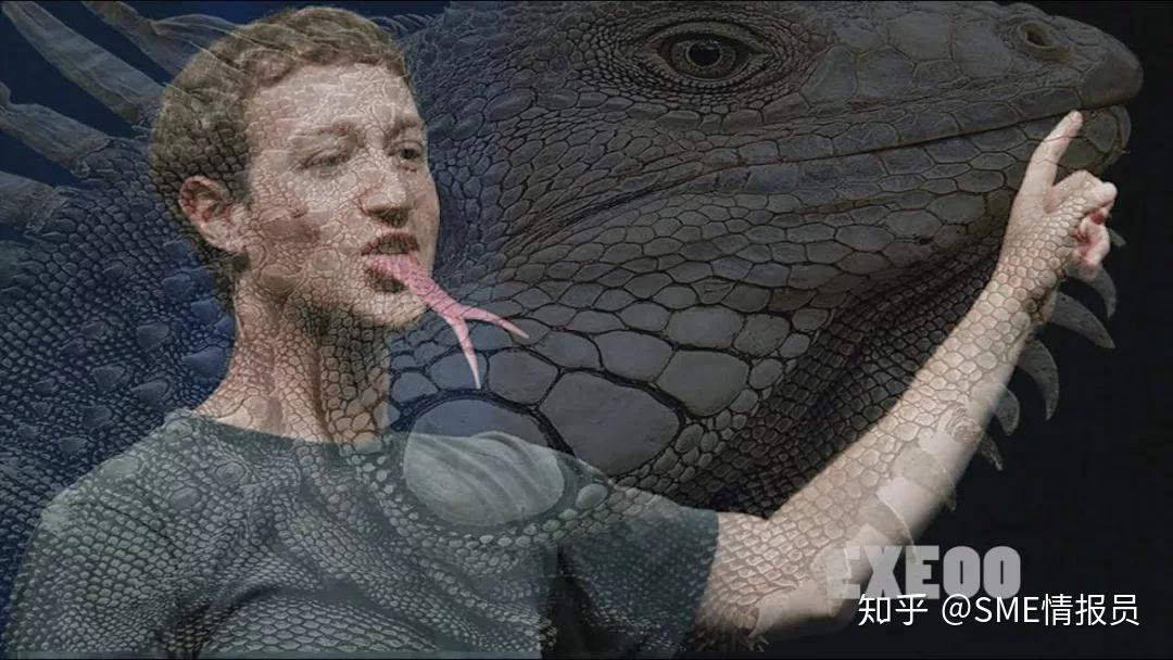 扎克伯格蜥蜴人 知乎
