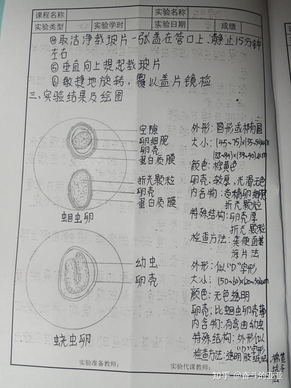 人体寄生虫实验报告