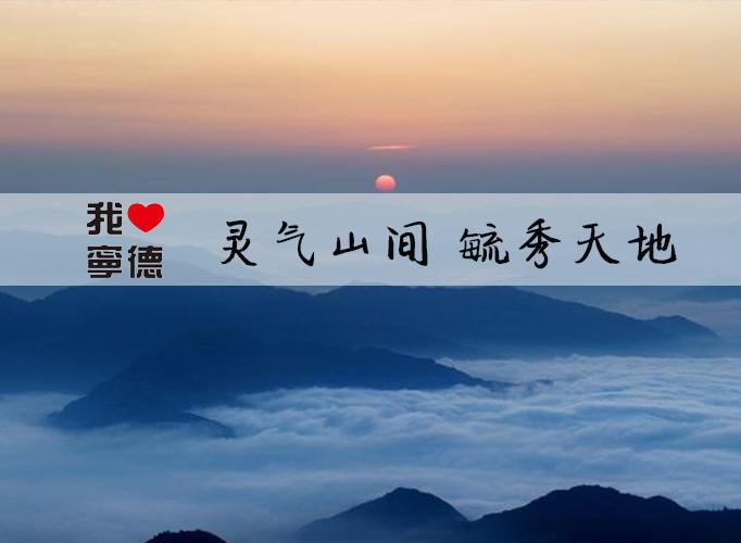 i宁德山间毓秀万物皆灵宁德那些动物山你知道吗