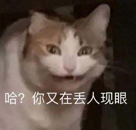 表情包 | 猫咪骂骂咧咧系列