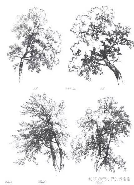 40张图教你学会经典素描风景与树!