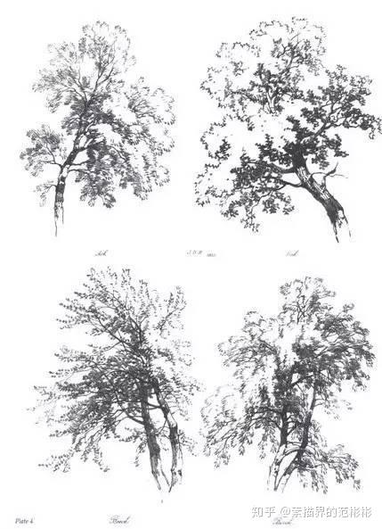 40张图教你学会经典素描风景与树