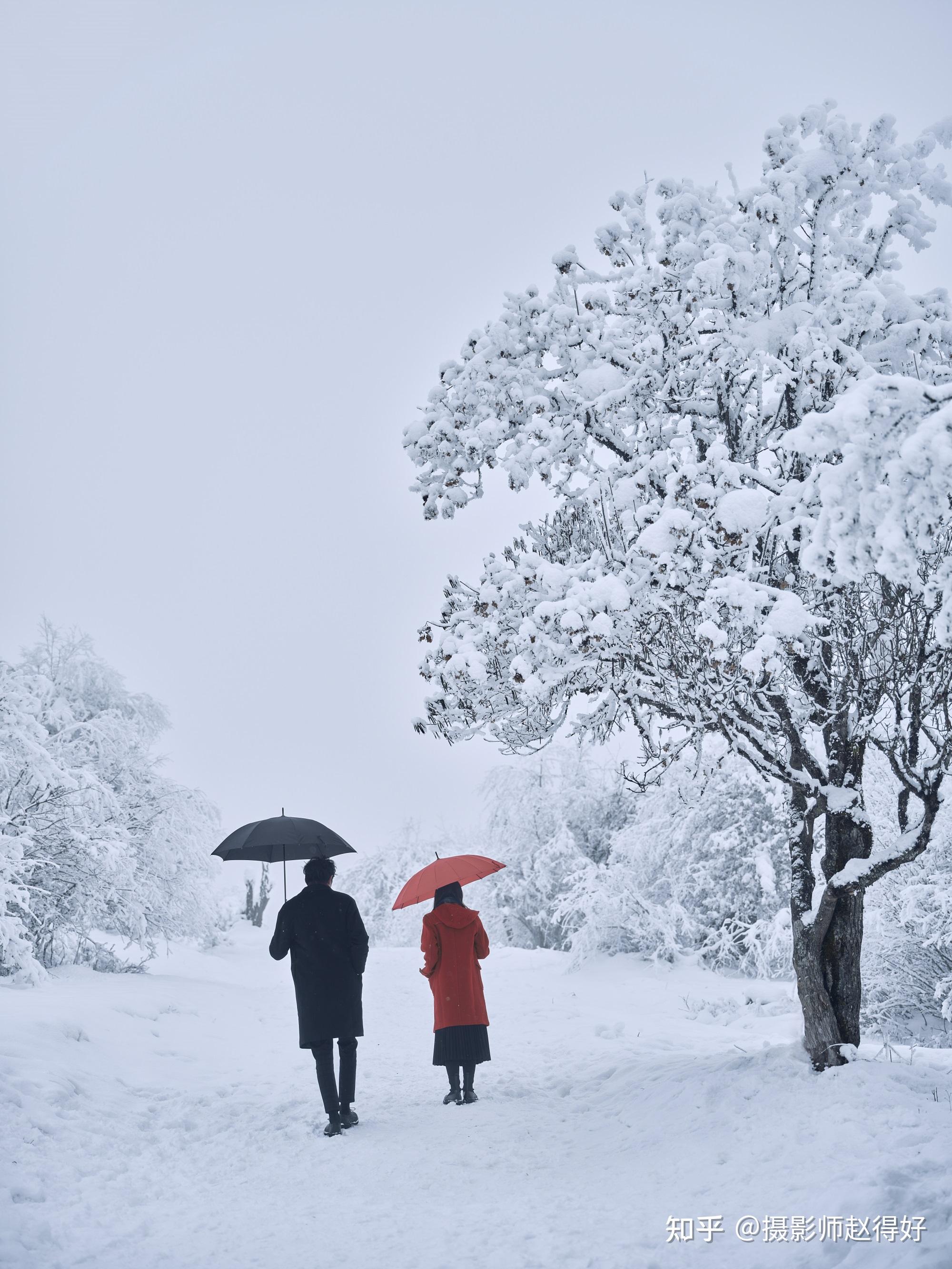 2021年你见过最美的雪景是怎样的