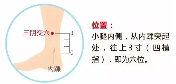 养老穴——老年人的专属康健穴,献给父母亲人