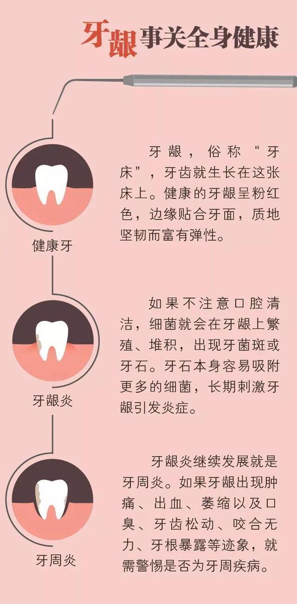 【修正数字口腔】牙龈是牙齿的"土壤",请别让它受伤