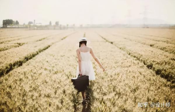 拍摄麦田人像,学习6个实用的拍摄思路,唯美漂亮的人像