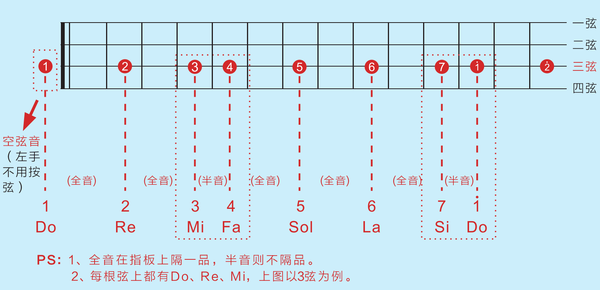 3.指板上全音与半音的关系