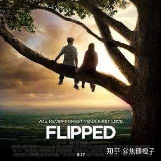 5.flipped(怦然心动)