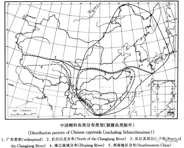 气候温和,雨量充沛,适于鱼类生长,中国淡水鱼类的分布区划分别属于