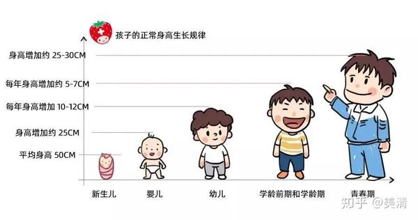 儿童从出生到青春期结束,差不多要经历20多年(女性17岁左右,男孩20岁