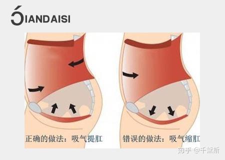 聊一聊缩阴提肛运动怎么做