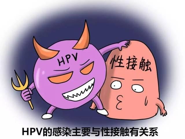 为什么会感染hpv病毒?