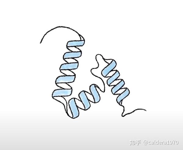 deepmind应用ai技术在生物科学领域取得重大突破-对蛋白质折叠预测