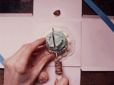 看完这个短片,惊得我天灵盖都起飞了