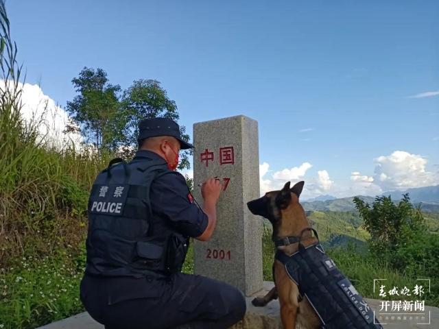 "玄战"突然对路边的草堆发出示警,并果断趴下,转头看向训导员段博