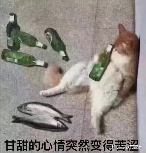 买醉的喵