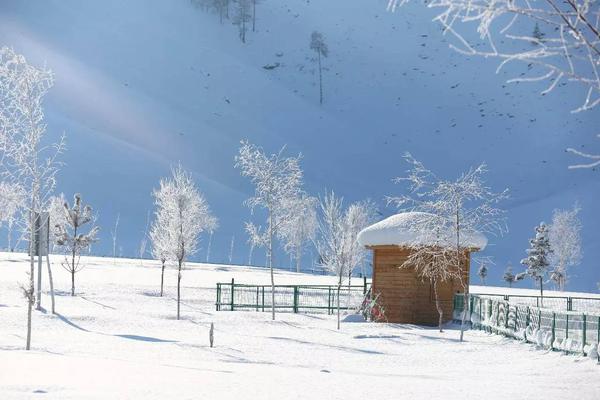 中国最美的雪南方孩子羡慕哭了最纯净的雪景秘境会玩的却只有1