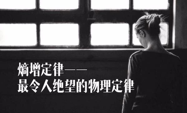 上下同欲者胜个人和团队成长的极致定律