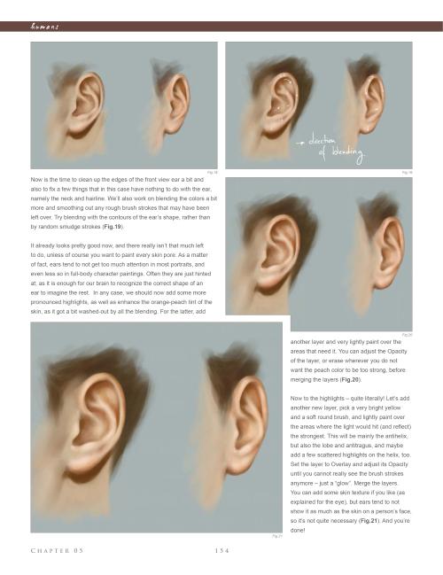 耳朵的三视图