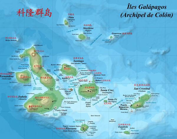 加拉帕戈斯群岛(archipiélago de colón,西班牙语:islas galapagos