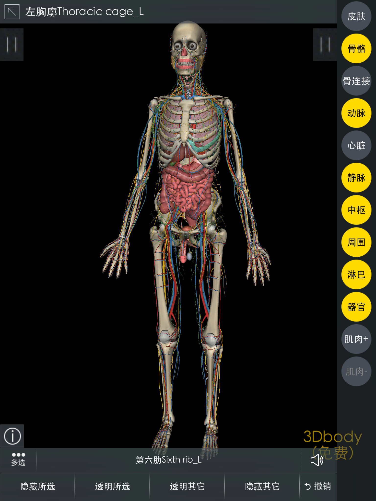 正在用的有 3dbody 安卓和ios都有 还有就是楼上说的 2018解剖图谱.