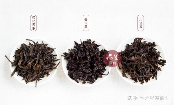干货这篇文章教你分辨广西六堡云南普洱和安化黑茶