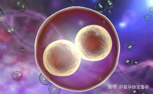 试管婴儿移植胚胎,怎么保证胚胎不会出错?
