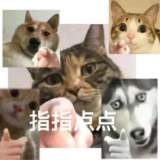 有哪些可以带是谁我不说的沙雕文案