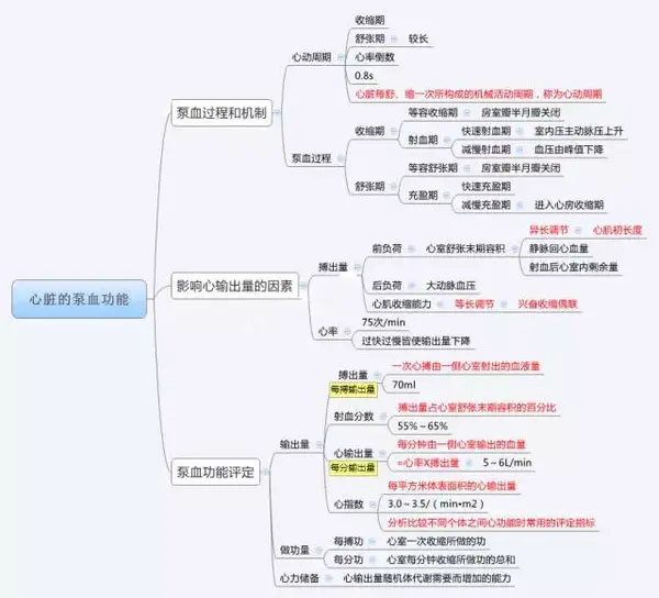 生理学 | 思维导图