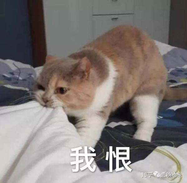 微信:我太难了.