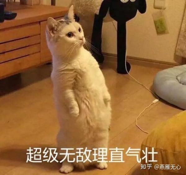 有没有那种抱着很凶的猫的动漫头像?