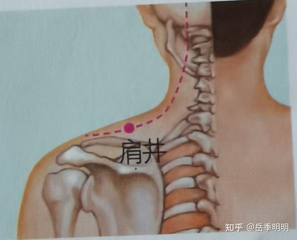 如何在家进行肩周炎按摩推拿?