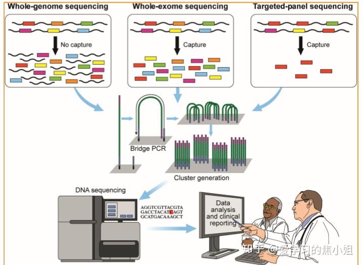 一篇文章保证让你明白ngs测序技术的不同检测方案