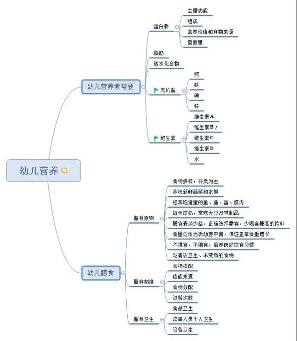 思鸿教育幼儿园《保教知识与能力》思维导图