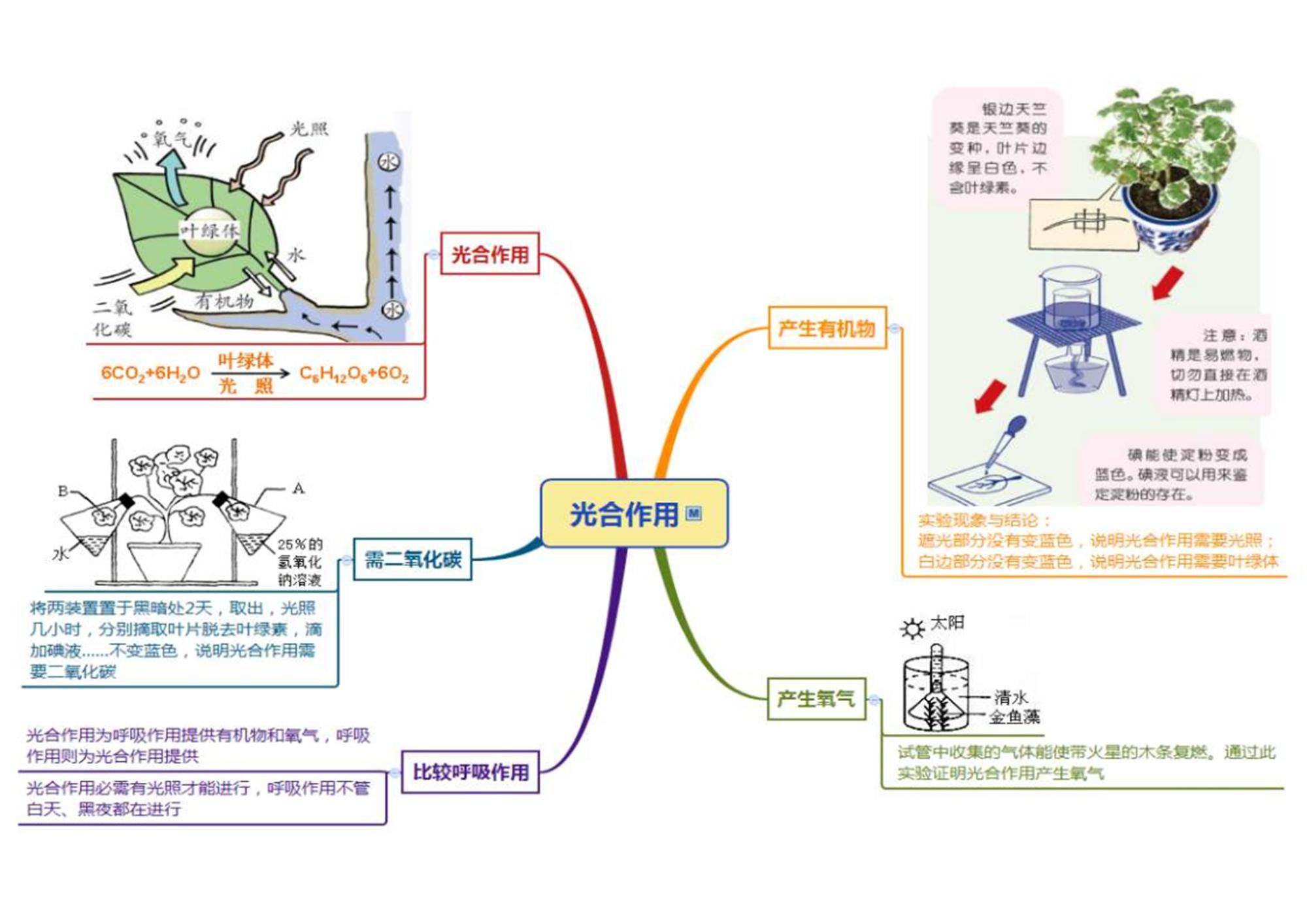 初中生物章节思维导图26张完整版通儒公考圈精制免费共享