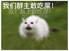 自定义制作表情包: 除了上面的动态虐群主表情包,我们还可以自己制作