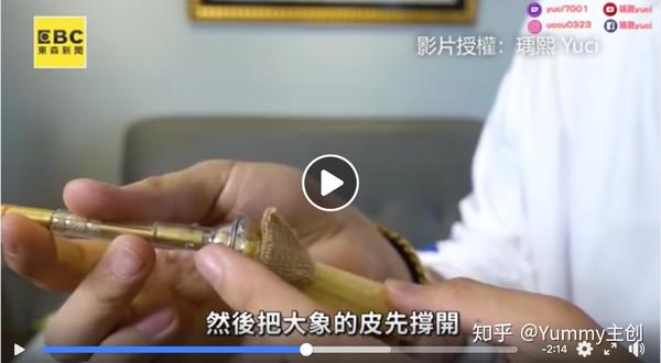 接着把丁丁放进去,轻压把手五秒钟,就能让内里的刀刃密合,短短几秒钟
