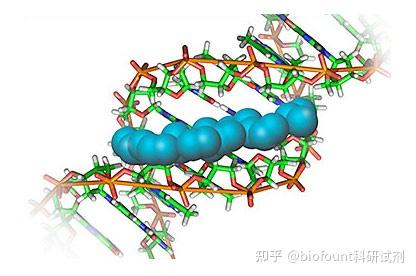 hoechst 33342染色原理染色步骤光谱 知乎