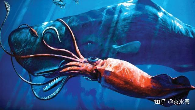 壁纸 动物 海底 海底世界 海洋馆 水族馆 鱼 鱼类 640_361