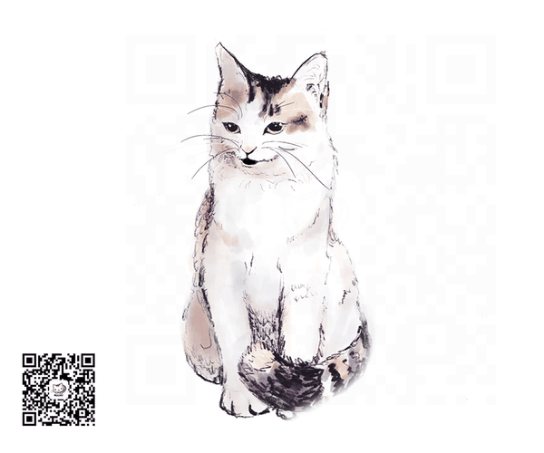 猫咪怎样对人类发出指示呢猫咪怎样告诉人它要玩