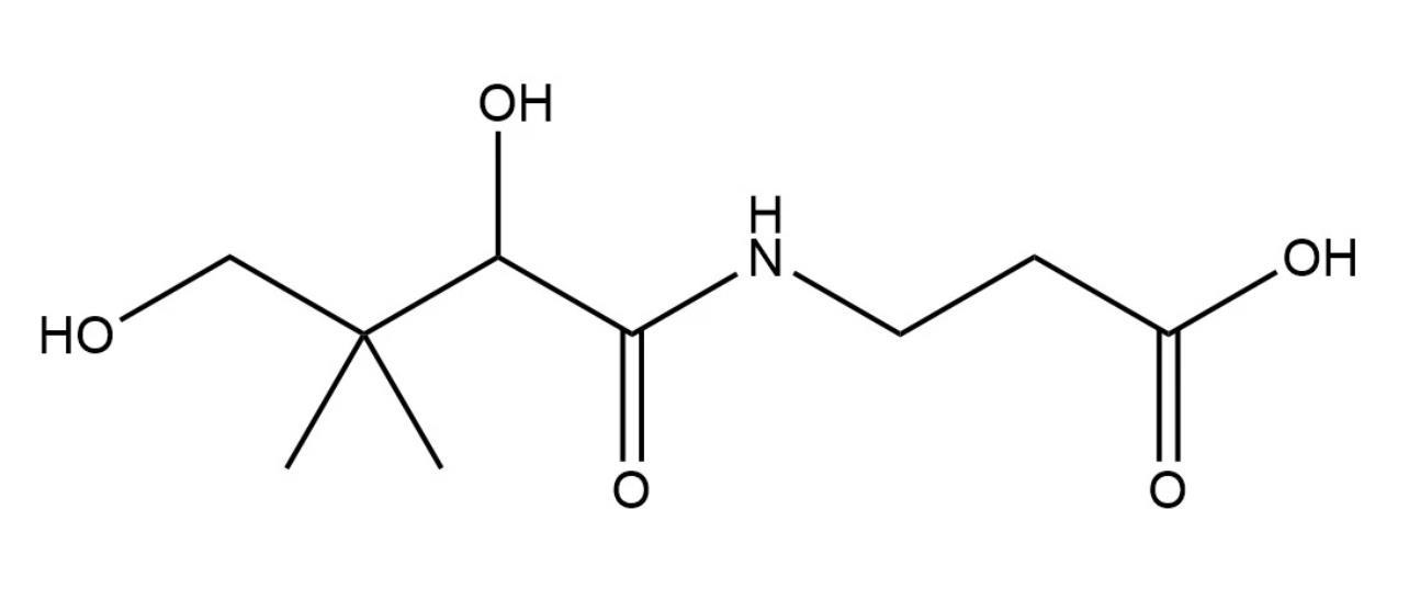 葡聚糖与维生素b5