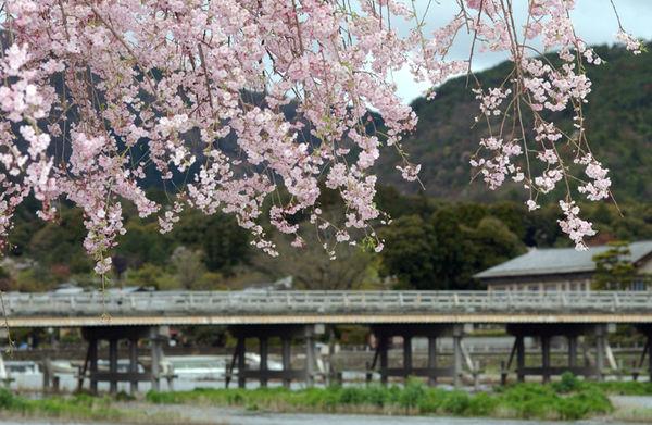 铁道唱歌东海道篇4748