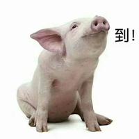 438 人也赞同了该回答早点 搬出家门,经济独立. 删掉微信,电话联系.