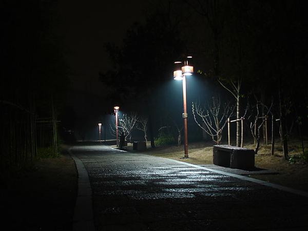 夜风中抒怀