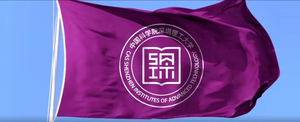 中国科学院深圳理工大学校徽