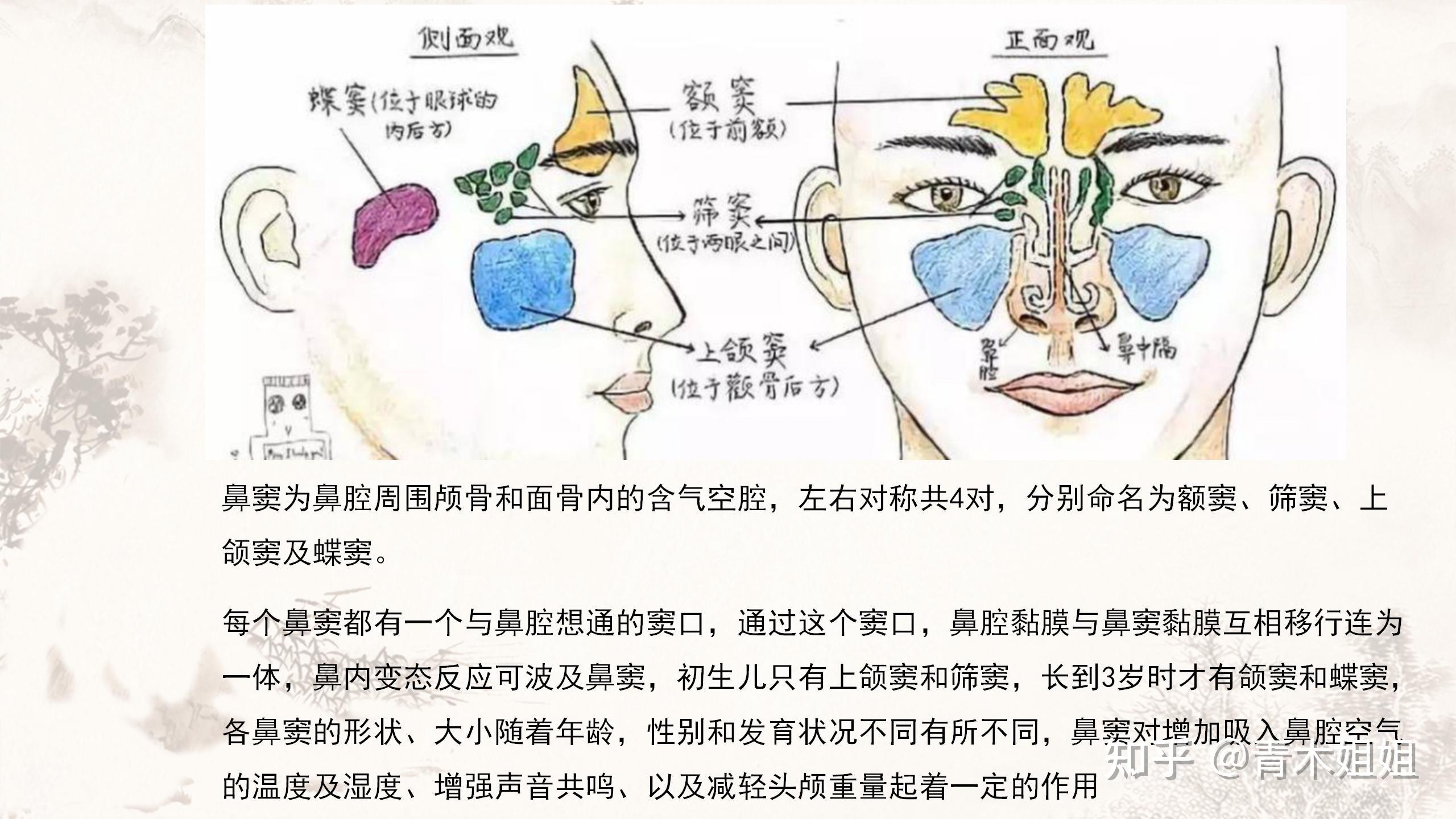 蝶窦炎症 是鼻窦炎吗?