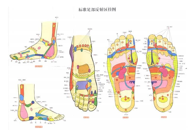 各反射区检查所见包括触摸反射区的手感和反射区外观变化5